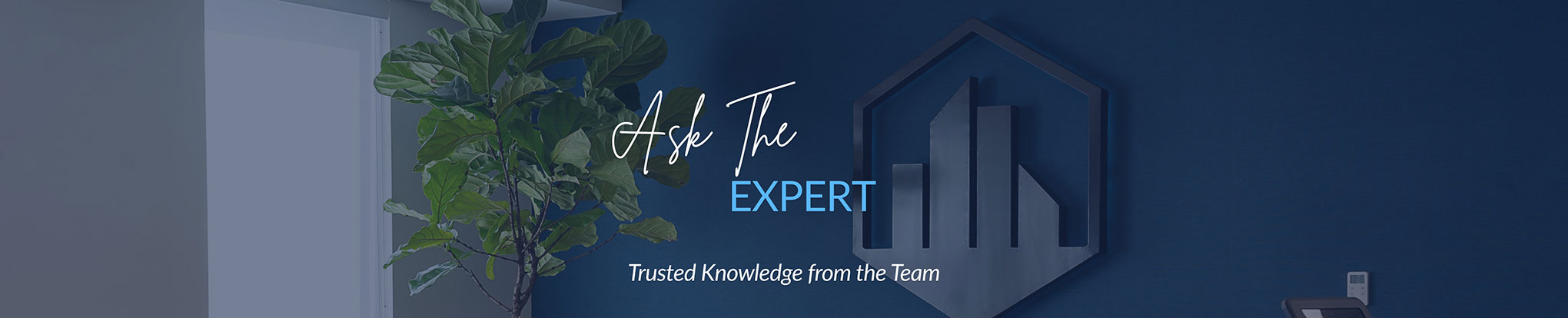 a decorative blue, tonal, presentation banner graphic with the words Ask the Experts within.